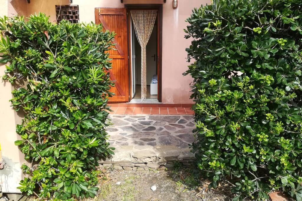 Casa Rosetta - Appartamento Nei Pressi La Pelosa Stintino Eksteriør billede