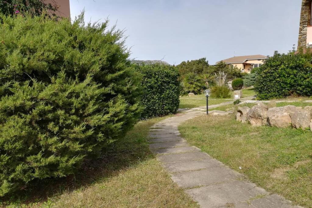 Casa Rosetta - Appartamento Nei Pressi La Pelosa Stintino Eksteriør billede
